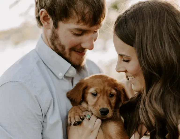 chiot perdu retrouve dans le jardin dune femme elle est surprise lorsquelle le ramasse