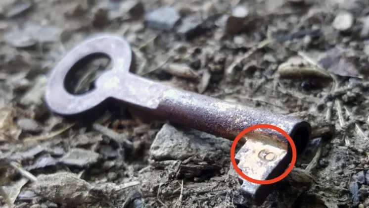 chiot perdu retrouve dans le jardin dune femme elle est surprise lorsquelle le ramasse
