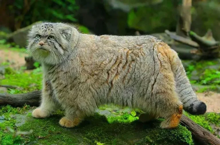 193