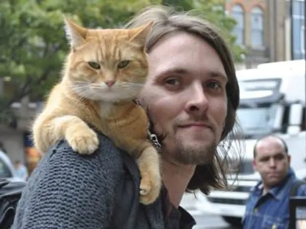 Bob le chat 4