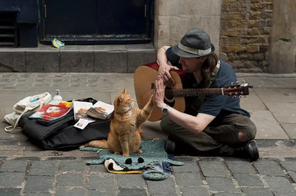 Bob le chat 2
