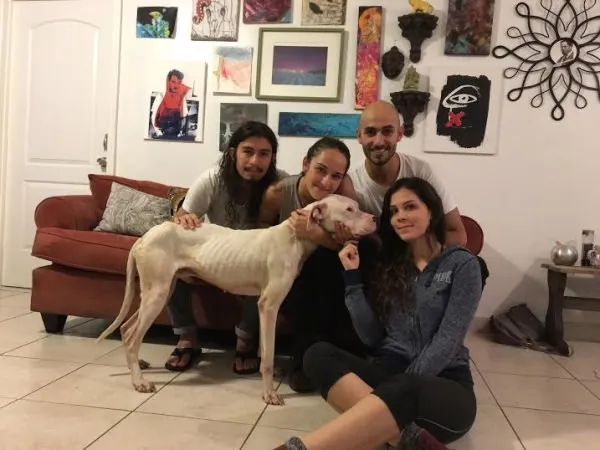 Ganesh’s GoFundMe
