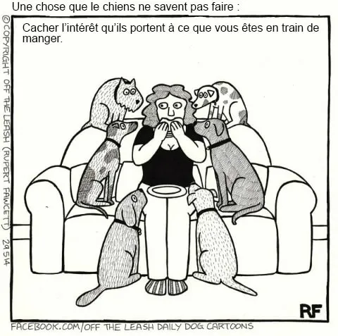 Pensee des chiens 2