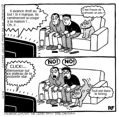 Pensee des chiens 12