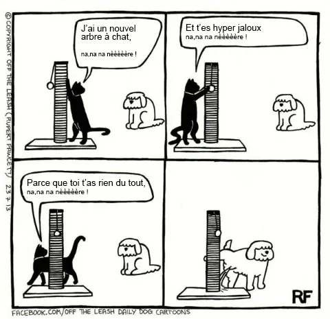 Pensee des chiens 14