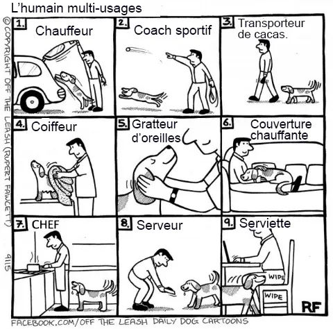Pensee des chiens 15