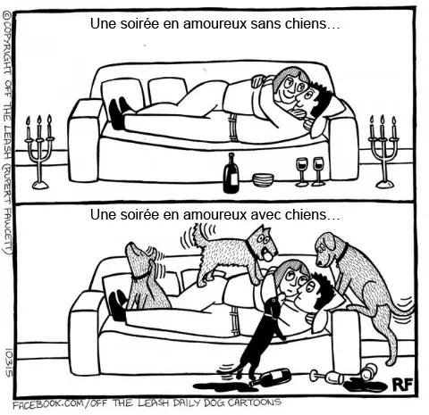 Pensee des chiens 3
