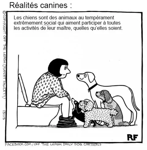 Pensee des chiens 5