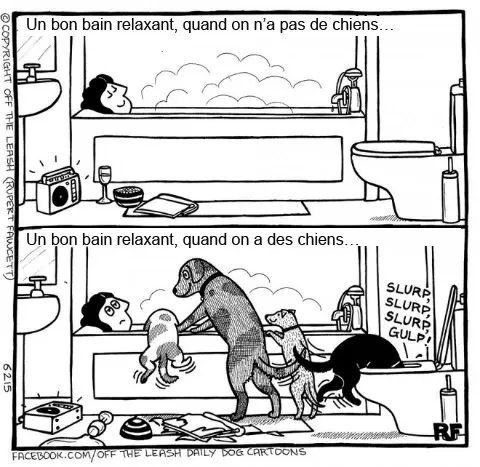 Pensee des chiens 7