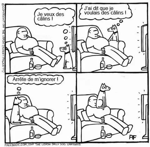 Pensee des chiens 8
