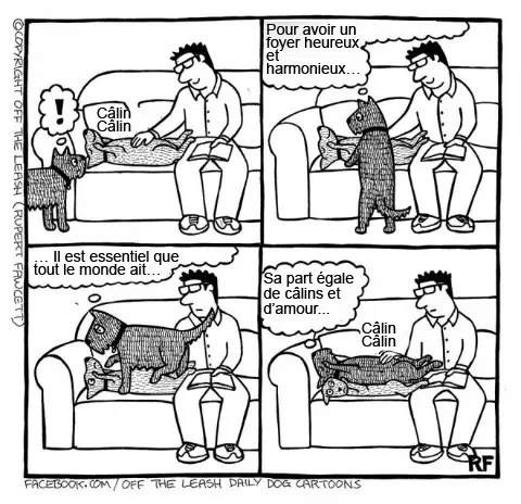 Pensee des chiens 9