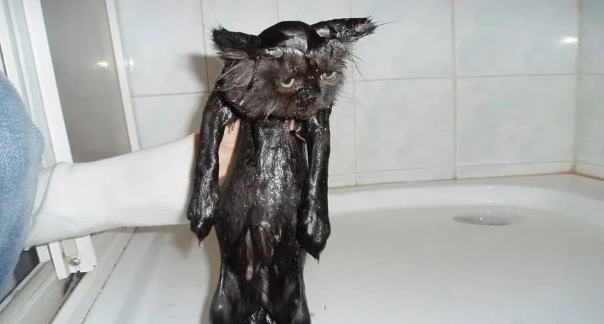 Wet21