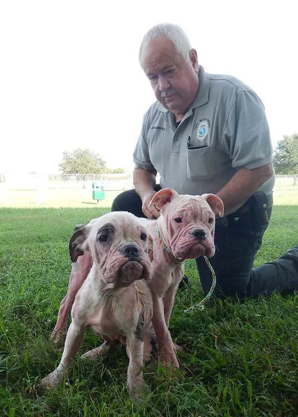 Vero Beach Police Department / Facebook