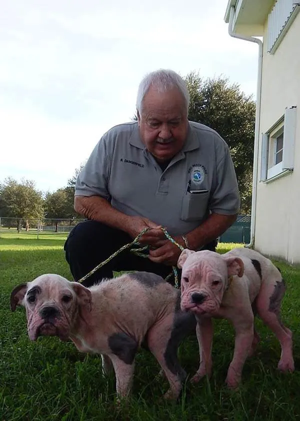 Vero Beach Police Department / Facebook