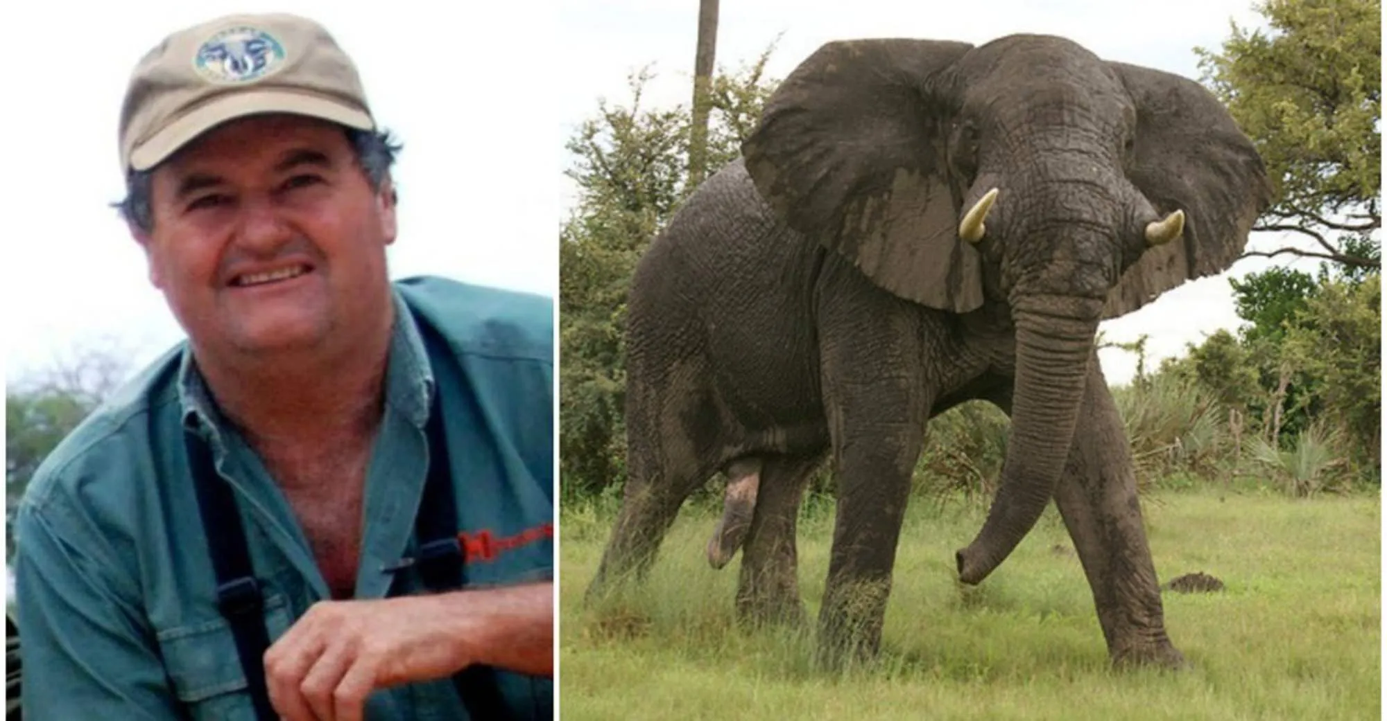 Un chasseur d’ivoire piétiné par l’éléphant qu’il traquait depuis des heures.