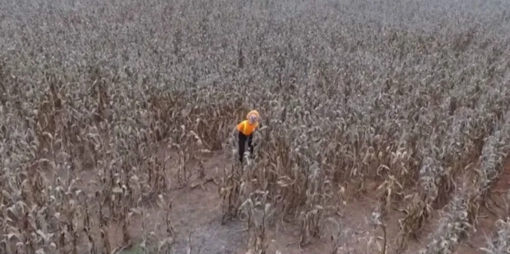 Un drone capture ce que 13