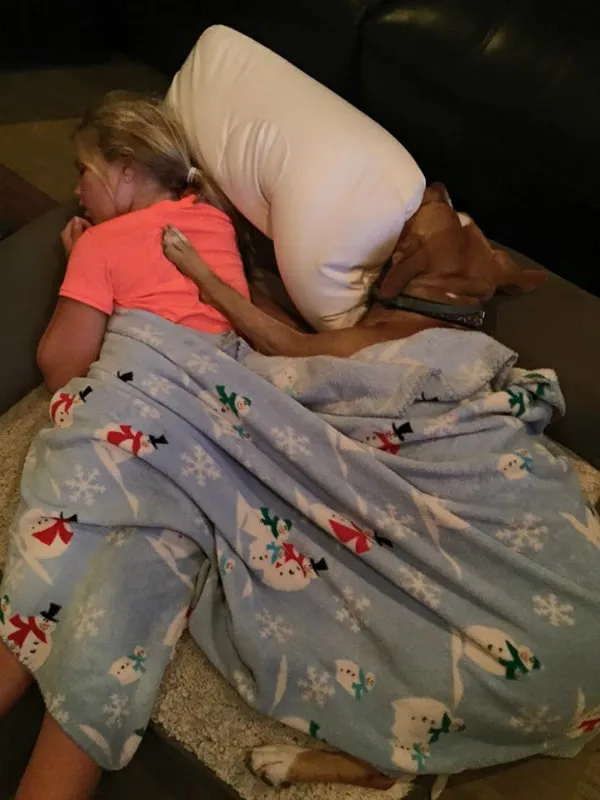 Un homme est venu adopter une femelle 25