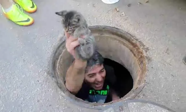 122115-Man-Jumps-Storm-Drain-Save-Kitten-3