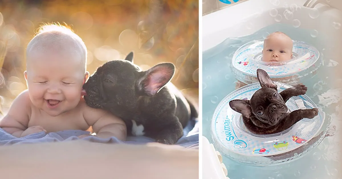 Un nourrisson et un bulldog nés le même jour sont persuadés qu’ils sont frères, et font tout ensemble.