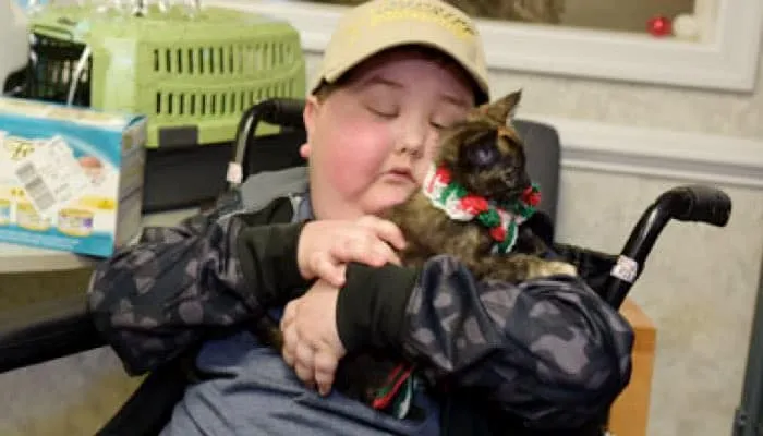 Une chatte de refuge a réalisé le rêve d’un enfant malade. Maintenant ils sont Inséparables!