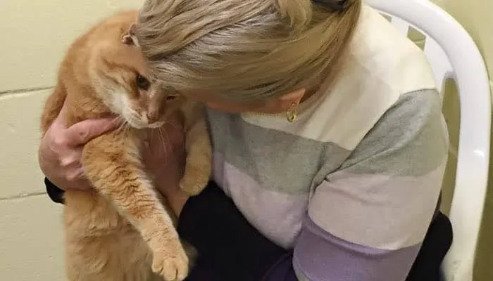 Une dame adopte un chat senior, et retourne au refuge pour adopter également son vieil ami
