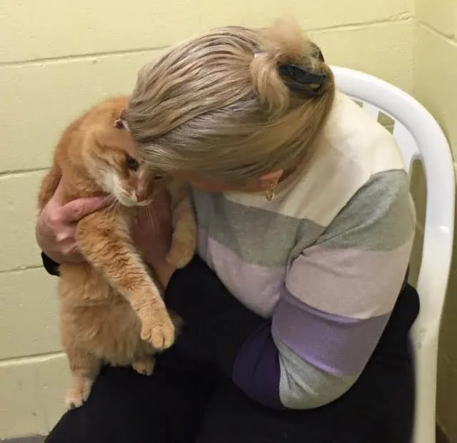 Friends of Anne Arundel County Animal Control, Inc.