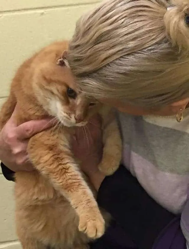 Friends of Anne Arundel County Animal Control, Inc.