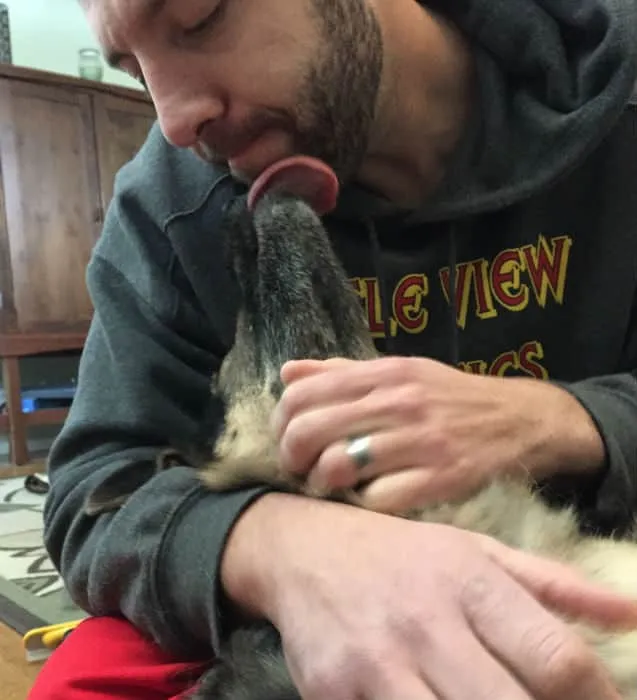 Imgur/NickCageMatch