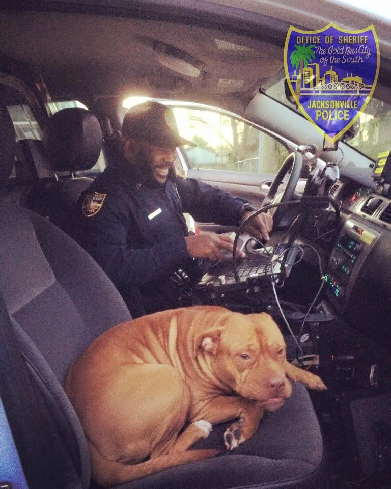 Jacksonville Sheriff’s Office/Facebook