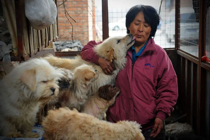 Une femme parcourt 2650 km en chine 01