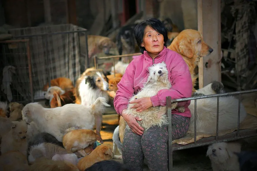 Une femme parcourt 2650 km en chine 02